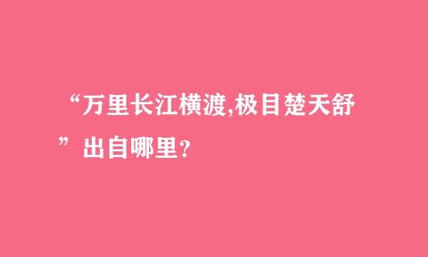 “万里长江横渡,极目楚天舒 ”出自哪里？