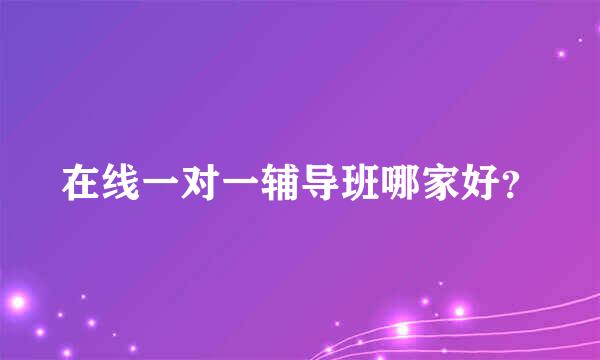 在线一对一辅导班哪家好？