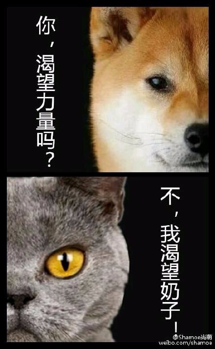 谁有柴犬的 你渴望力量吗，我渴望naizi的图片？要高清的