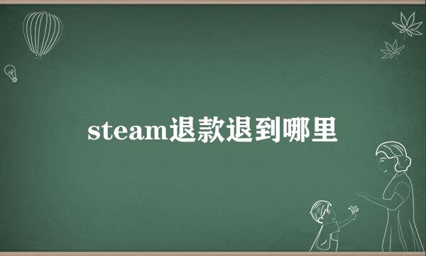 steam退款退到哪里