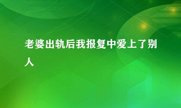 老婆出轨后我报复中爱上了别人