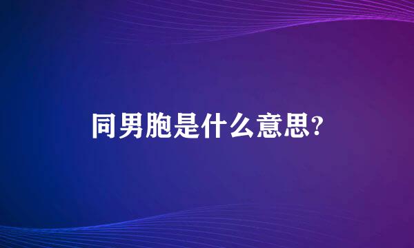 同男胞是什么意思?