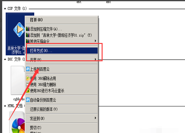 csf文件是什么文件啊，怎样才能够播放出来