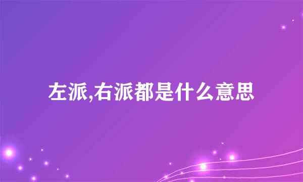 左派,右派都是什么意思