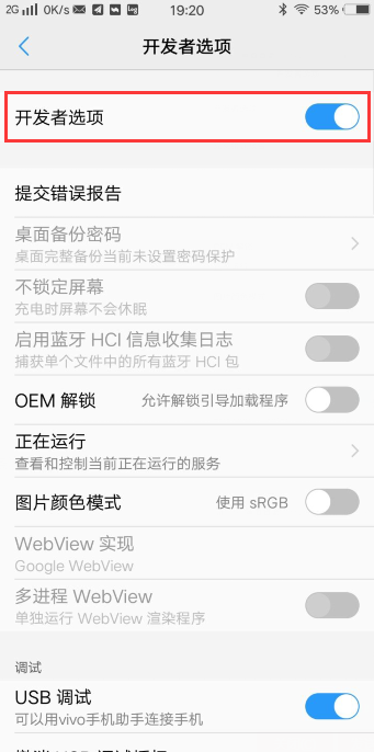 vivo手机的开发者选项在哪里？