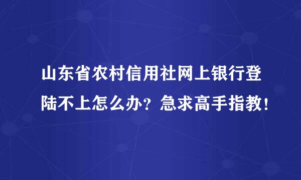 山东省农村信用社网上银行登陆不上怎么办？急求高手指教！