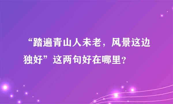 “踏遍青山人未老，风景这边独好”这两句好在哪里？