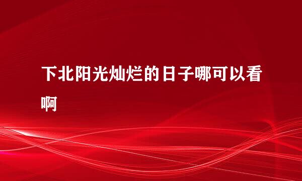 下北阳光灿烂的日子哪可以看啊