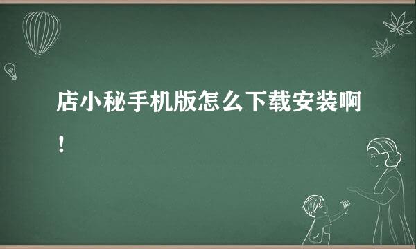 店小秘手机版怎么下载安装啊！