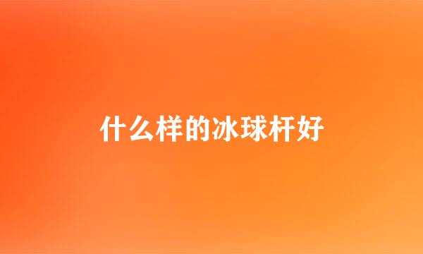 什么样的冰球杆好