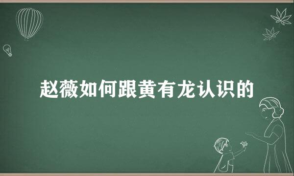 赵薇如何跟黄有龙认识的