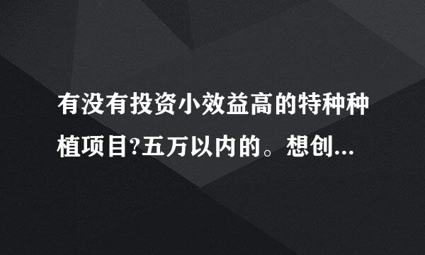 有没有投资小效益高的特种种植项目?五万以内的。想创业，钱不多。