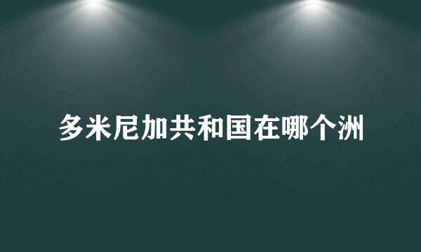 多米尼加共和国在哪个洲