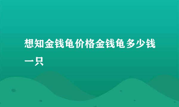 想知金钱龟价格金钱龟多少钱一只