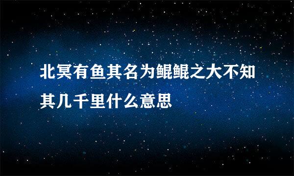 北冥有鱼其名为鲲鲲之大不知其几千里什么意思