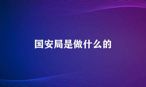 国安局是做什么的