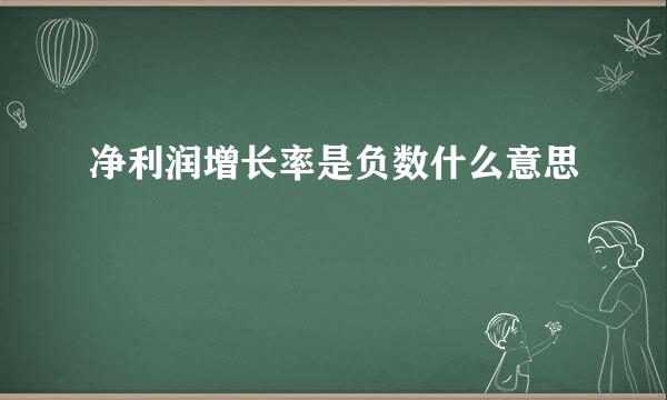 净利润增长率是负数什么意思