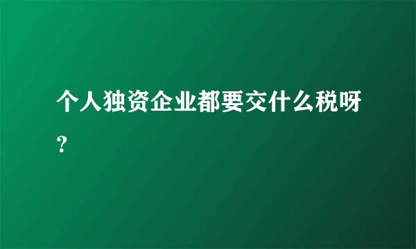 个人独资企业都要交什么税呀？