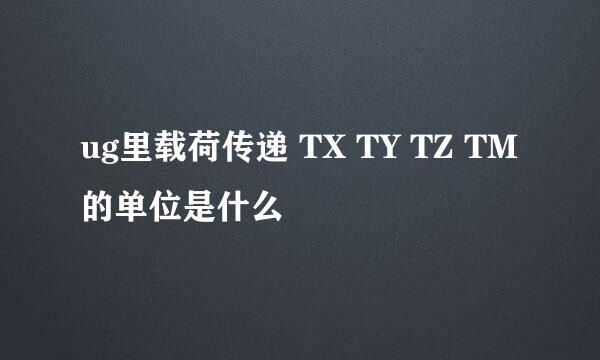 ug里载荷传递 TX TY TZ TM的单位是什么