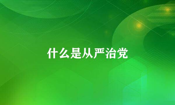 什么是从严治党