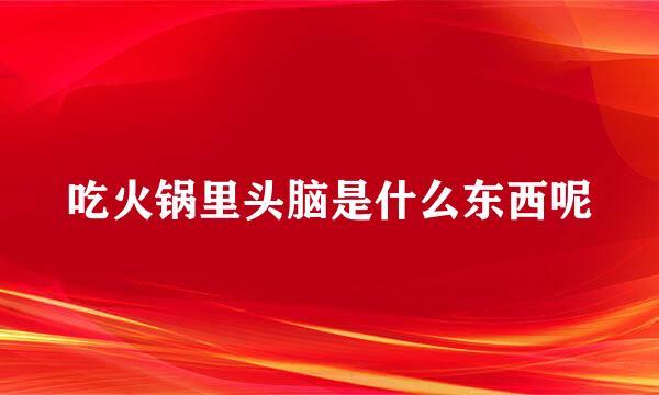 吃火锅里头脑是什么东西呢