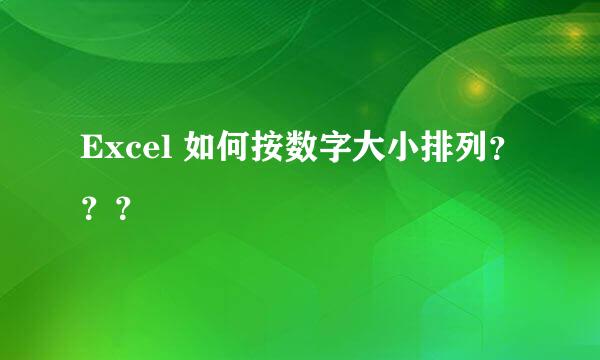 Excel 如何按数字大小排列？？？