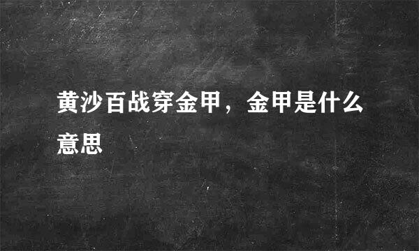 黄沙百战穿金甲，金甲是什么意思