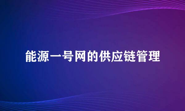 能源一号网的供应链管理