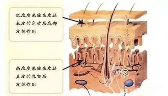 最热门的医美项目有哪些，哪些是最安全的？