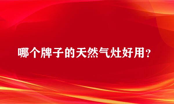 哪个牌子的天然气灶好用？