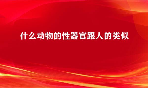 什么动物的性器官跟人的类似