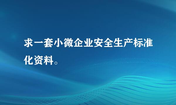 求一套小微企业安全生产标准化资料。