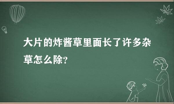 大片的炸酱草里面长了许多杂草怎么除？