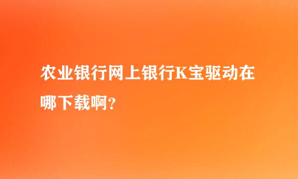 农业银行网上银行K宝驱动在哪下载啊？