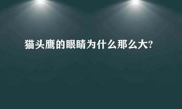 猫头鹰的眼睛为什么那么大?