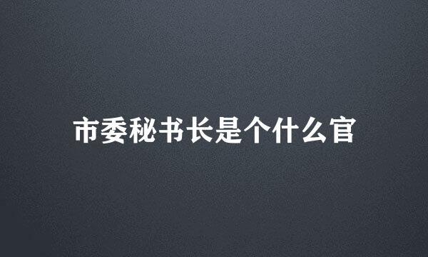 市委秘书长是个什么官