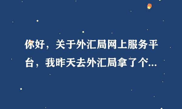 你好，关于外汇局网上服务平台，我昨天去外汇局拿了个用户名称和密码，请问怎么登陆使用啊？