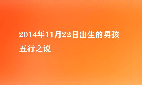 2014年11月22日出生的男孩五行之说