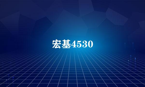 宏基4530