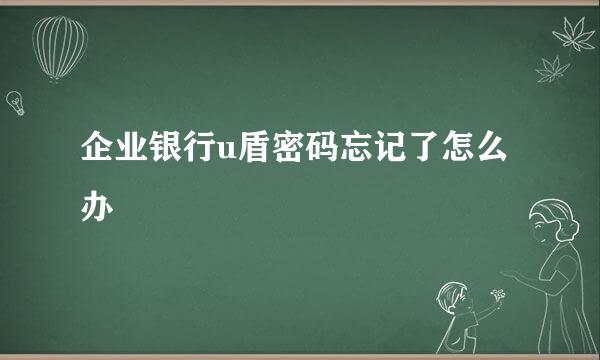 企业银行u盾密码忘记了怎么办