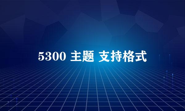 5300 主题 支持格式