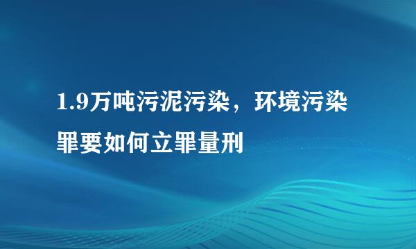 1.9万吨污泥污染，环境污染罪要如何立罪量刑