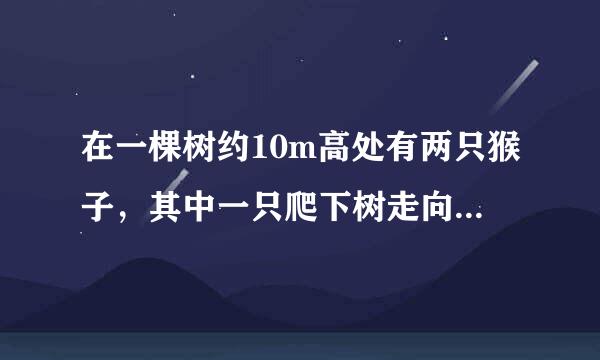 在一棵树约10m高处有两只猴子，其中一只爬下树走向离树20m的池塘，而另一只爬到树顶后直扑池塘，如