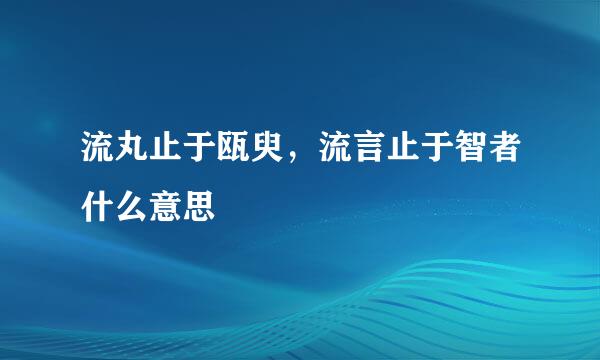 流丸止于瓯臾，流言止于智者什么意思