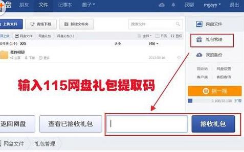 115网盘的提取码怎么用，请详述