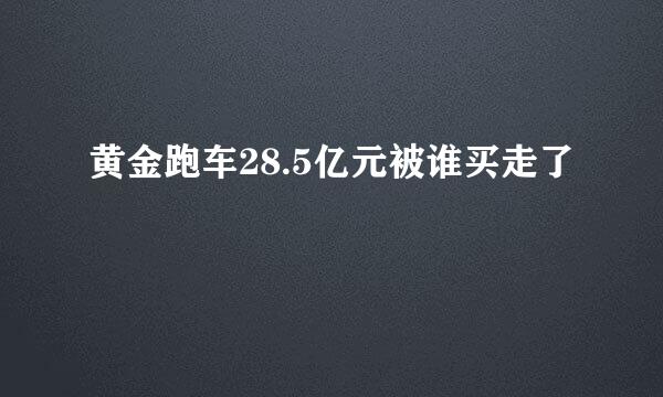 黄金跑车28.5亿元被谁买走了