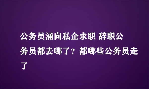 公务员涌向私企求职 辞职公务员都去哪了？都哪些公务员走了