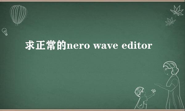 求正常的nero wave editor