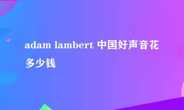 adam lambert 中国好声音花多少钱