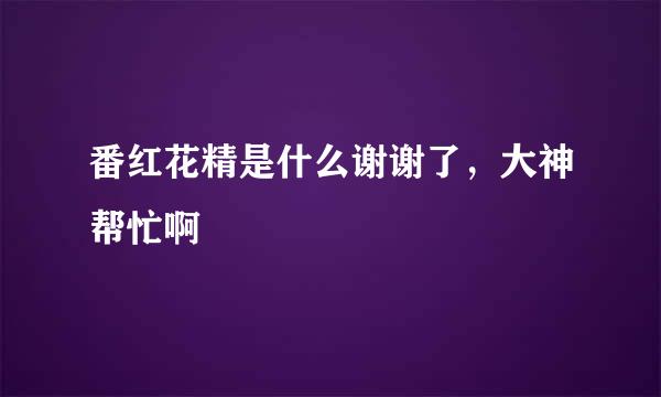 番红花精是什么谢谢了，大神帮忙啊